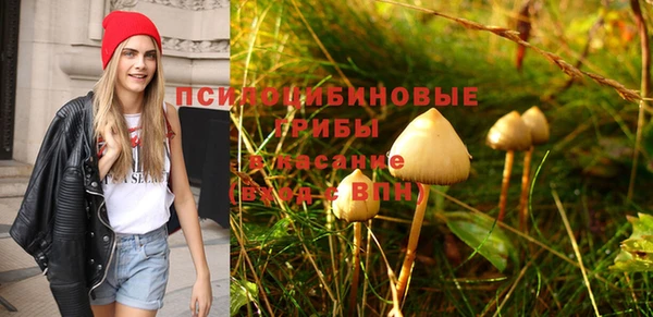 мескалин Медвежьегорск